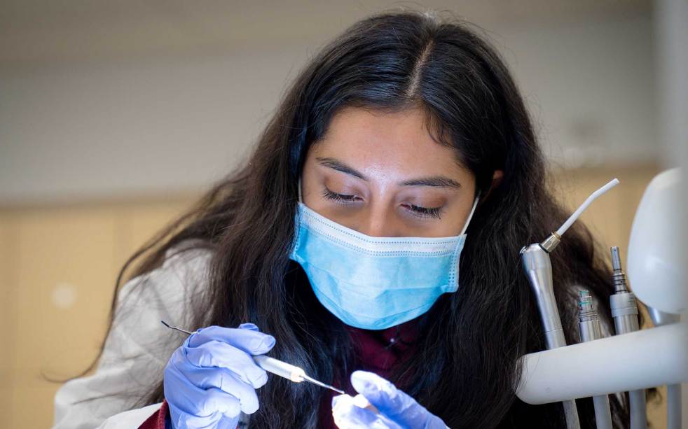 dental student practice and learning the dentistry thory